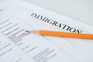 What Are Country Reports and How Do They Affect Asylum Claims?